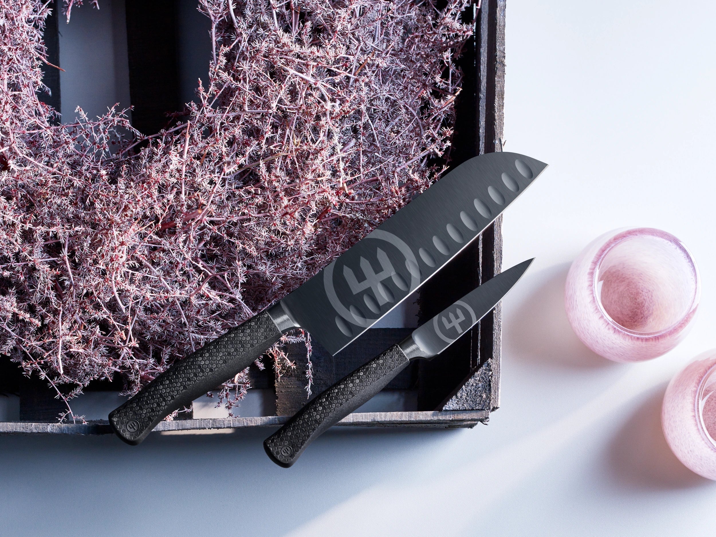 WÜSTHOF Knives: The Full Buying Guide to Help You Decide Which is Best For You