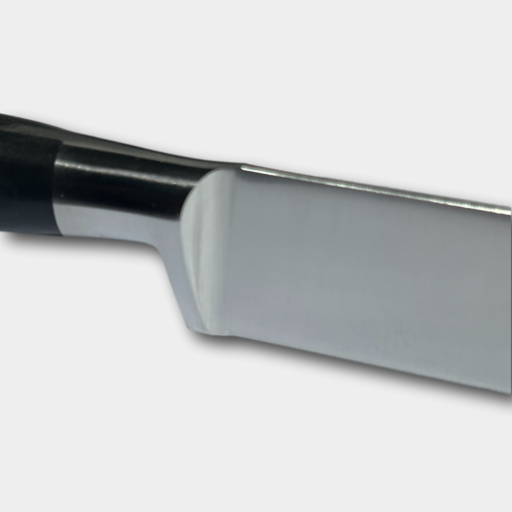 Lion Sabtier Ideal Steel 25cm Slicing Knife