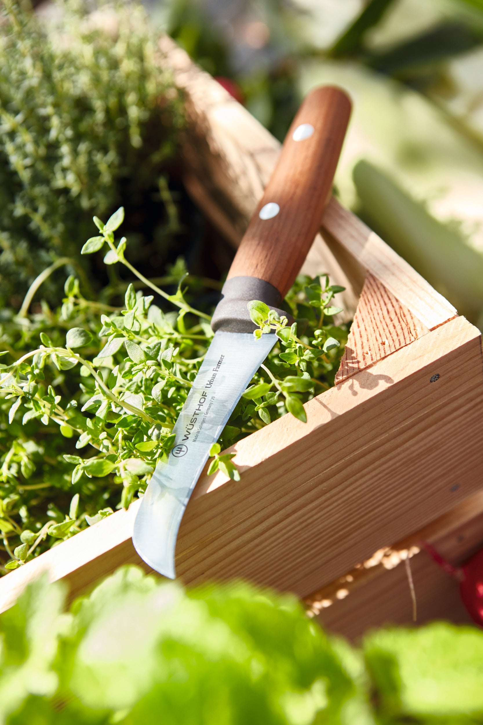 Wusthof Urban Farmer 8cm Pruning Knife SPECIAL OFFER