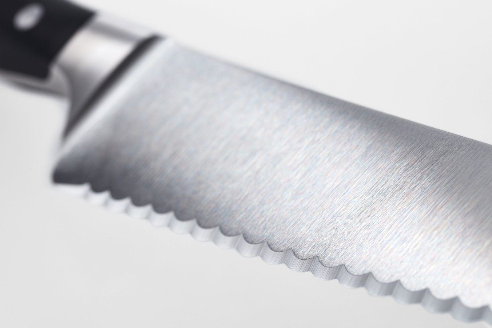 Wusthof Classic IKON 14cm Serrated Utility Knife - WT1040331614 - The Cotswold Knife Company